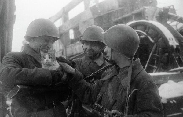 斯大林格勒戰役的士兵 - 俄羅斯衛星通訊社