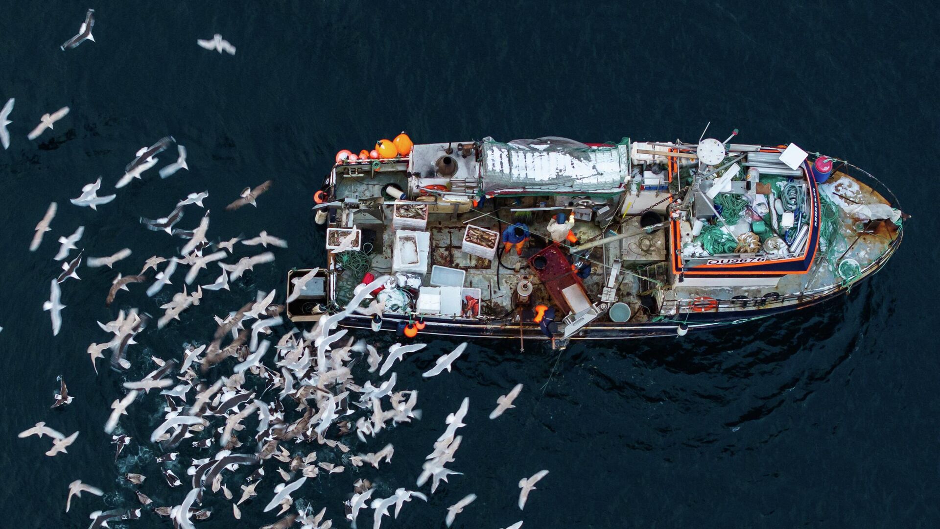 军事专家解释美国为何需要格陵兰岛 - 俄罗斯卫星通讯社, 1920, 03.02.2026