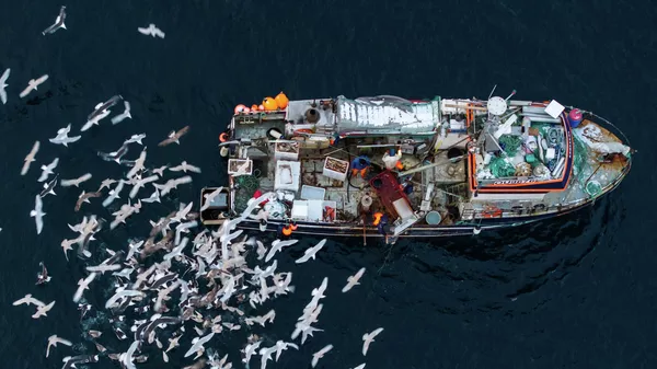 军事专家解释美国为何需要格陵兰岛 - 俄罗斯卫星通讯社