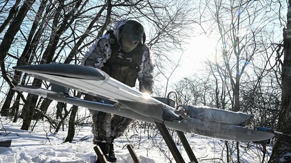 俄州长：俄防空系统一天在布良斯克州上空摧毁近230架乌军无人机 - 俄罗斯卫星通讯社