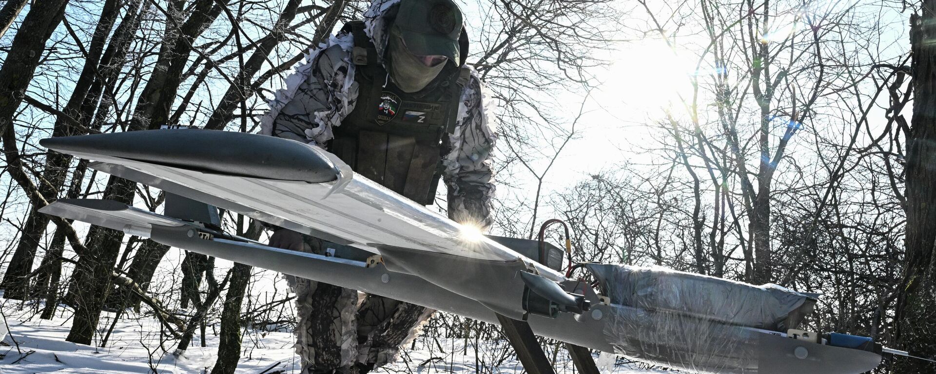 俄州长：俄防空系统一天在布良斯克州上空摧毁近230架乌军无人机 - 俄罗斯卫星通讯社, 1920, 16.02.2026