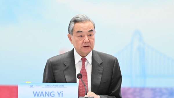 王毅 - 俄罗斯卫星通讯社