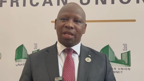 “非洲总是被针对”：莱索托外长质疑国际刑事法院公正性 - 俄罗斯卫星通讯社