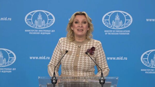 扎哈羅娃祝願大家在即將到來的東方傳統曆法的馬年里永遠馬到成功，旗開得勝 - 俄羅斯衛星通訊社