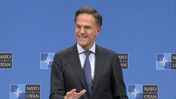 北约秘书长把美国称为世界最大国家 - 俄罗斯卫星通讯社