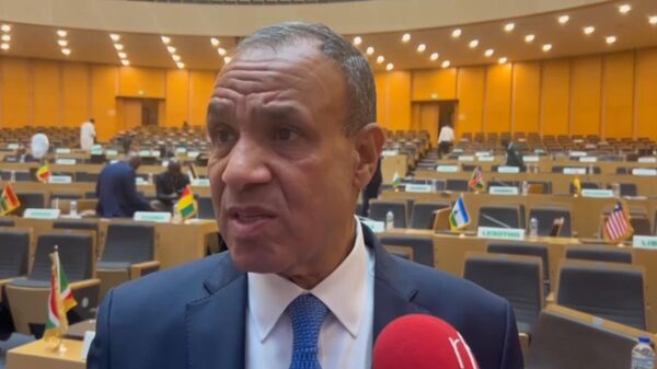 埃及外长：当前局势不可持续，必须纠正对非洲的历史不公 - 俄罗斯卫星通讯社