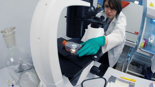 奧恰科夫食品配料廠實驗室 - 俄羅斯衛星通訊社