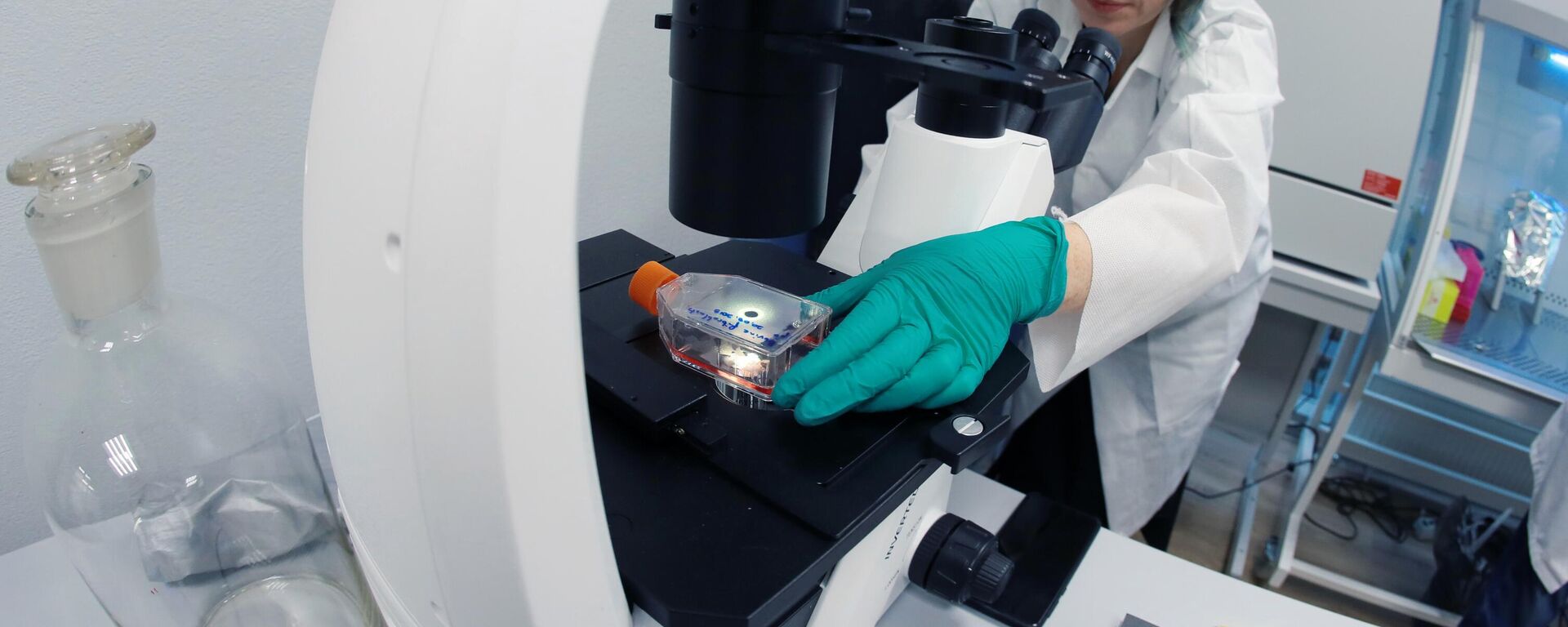 奥恰科夫食品配料厂实验室 - 俄罗斯卫星通讯社, 1920, 16.02.2026