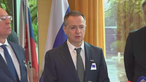 梅金斯基：日内瓦乌克兰问题谈判是困难但务实的 - 俄罗斯卫星通讯社