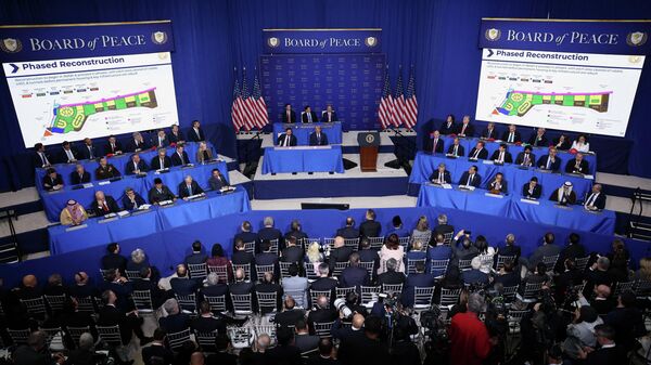 “和平委員會”首次會議 - 俄羅斯衛星通訊社