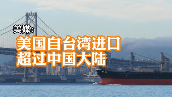 美媒：数十年来首次，美国自台湾进口超过中国大陆 - 俄罗斯卫星通讯社