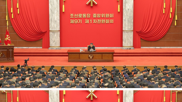 朝鲜劳动党第九届中央委员会第一次扩大全会 - 俄罗斯卫星通讯社