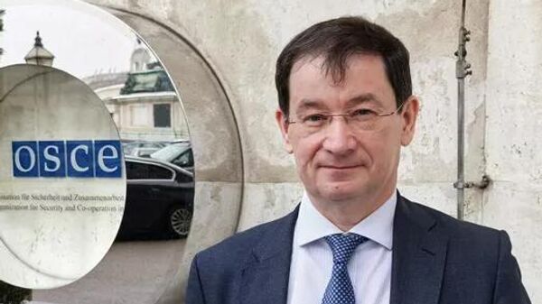 俄羅斯常駐歐安組織代表德米特里·波利揚斯基 - 俄羅斯衛星通訊社