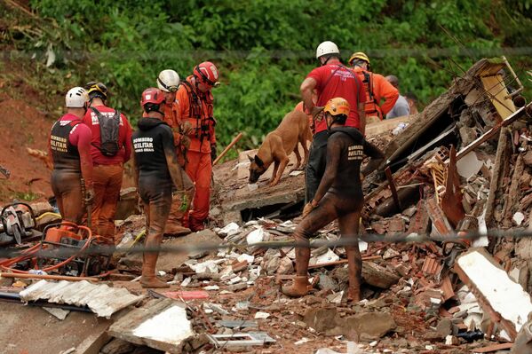 消防人员和搜救犬在房屋倒塌现场进行救援。 - 俄罗斯卫星通讯社
