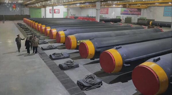 金正恩携女儿视察至少26枚尚未组装的“火星-12”中程弹道导弹。 金正恩携女儿视察至少26枚尚未组装的“火星-12”中程弹道导弹。 - 俄罗斯卫星通讯社