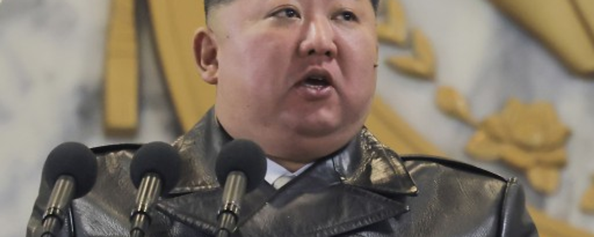 金正恩在纪念朝鲜劳动党第九次代表大会阅兵式上发表讲话 - 俄罗斯卫星通讯社, 1920, 26.02.2026