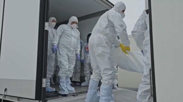 俄方向乌方移交1000具乌军军人遗体，乌方向俄方移交35具俄军军人遗体 - 俄罗斯卫星通讯社