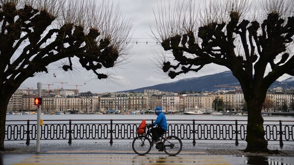 日内瓦 - 俄罗斯卫星通讯社