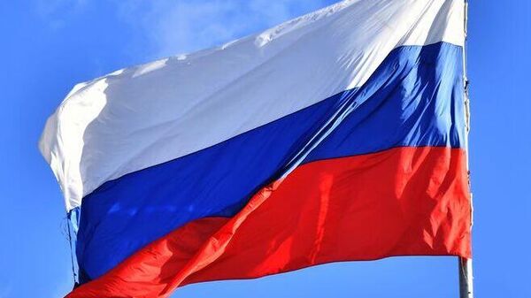 俄罗斯国旗 - 俄罗斯卫星通讯社