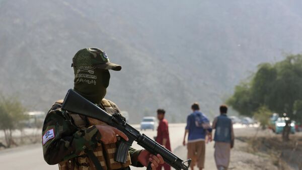 阿富汗国防部：阿富汗空军对巴基斯坦军事基地实施打击 - 俄罗斯卫星通讯社