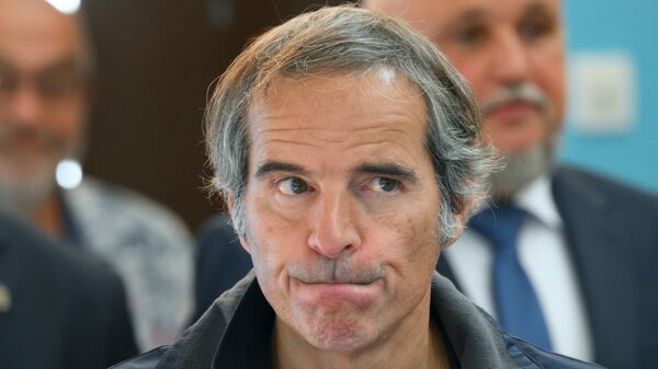  国际原子能机构总干事格罗西 - 俄罗斯卫星通讯社