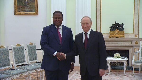 普京与中非共和国总统图瓦德拉举行会晤 - 俄罗斯卫星通讯社