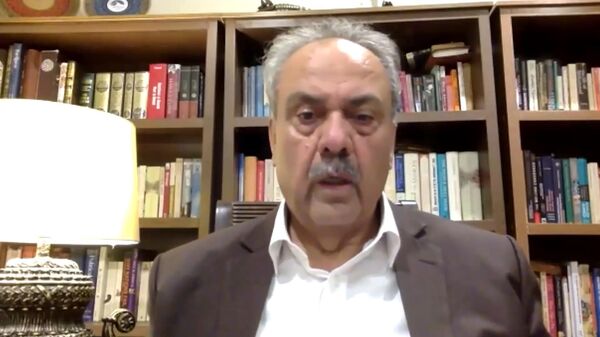 巴基斯坦前驻伊朗和阿联酋大使阿西夫·杜拉尼 - 俄罗斯卫星通讯社