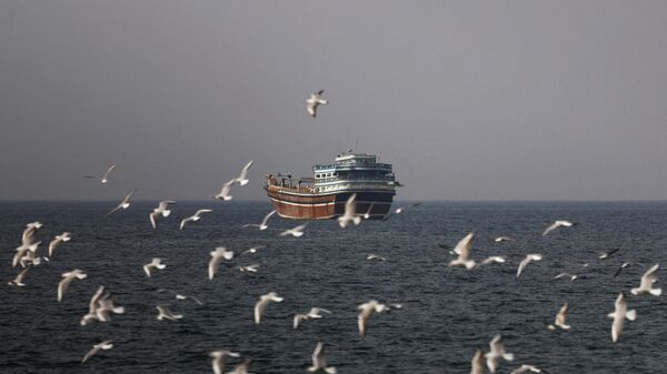 霍尔木兹海峡 - 俄罗斯卫星通讯社