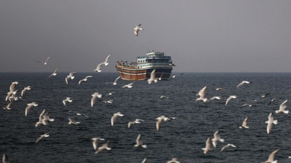 霍尔木兹海峡 - 俄罗斯卫星通讯社