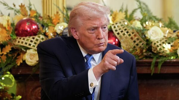 美国总统唐纳德·特朗普 - 俄罗斯卫星通讯社