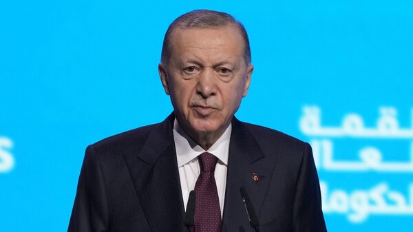 土耳其总统雷杰普·塔伊普·埃尔多安 - 俄罗斯卫星通讯社