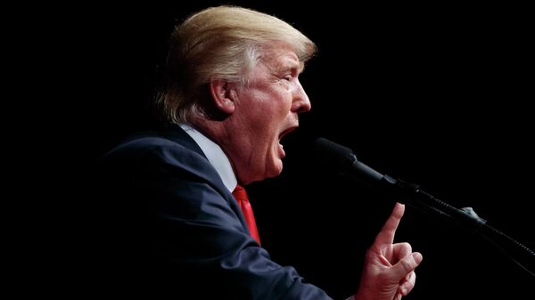 美國總統特朗普 - 俄羅斯衛星通訊社