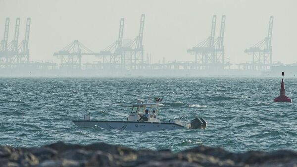 杰贝阿里港 - 俄罗斯卫星通讯社