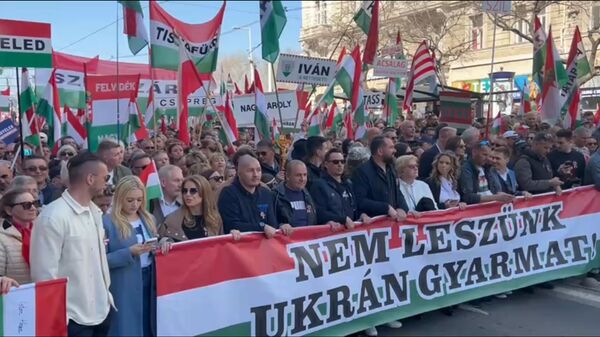 布达佩斯举行支持欧尔班大游行 - 俄罗斯卫星通讯社