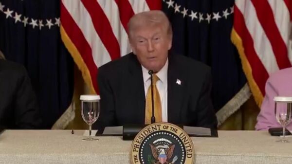 特朗普抱怨盟友拒绝向霍尔木兹海峡派遣扫雷舰 - 俄罗斯卫星通讯社