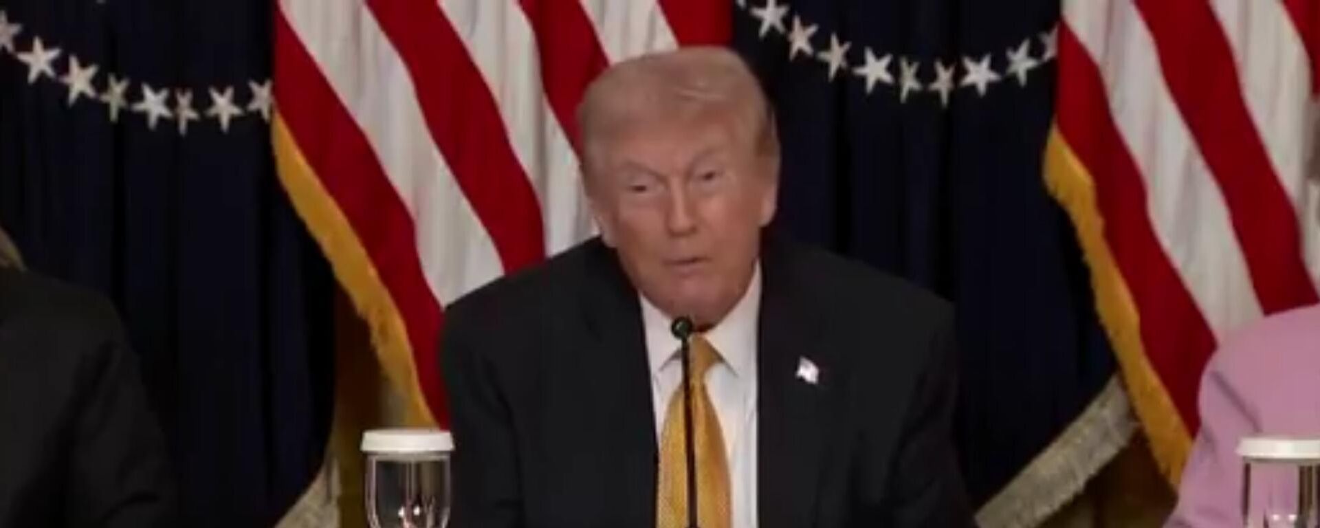 特朗普抱怨盟友拒绝向霍尔木兹海峡派遣扫雷舰 - 俄罗斯卫星通讯社, 1920, 17.03.2026