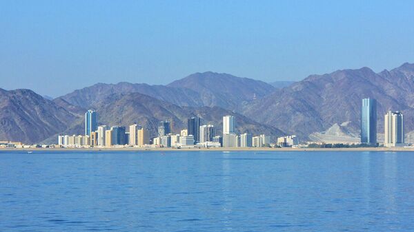 阿联酋国防部：阿防空部队一天拦截10枚弹道导弹和45架无人机 - 俄罗斯卫星通讯社