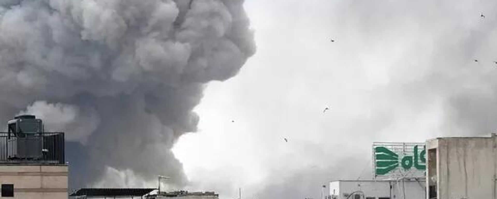 伊朗德黑兰，一次袭击过后，一股浓烟升起（2026年3月2日） - 俄罗斯卫星通讯社, 1920, 25.03.2026