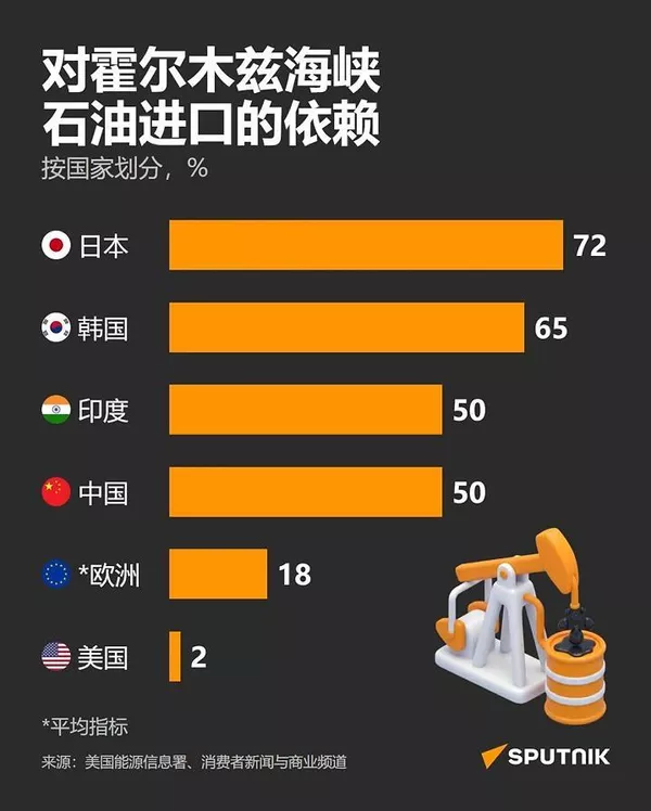 石油进口 - 俄罗斯卫星通讯社