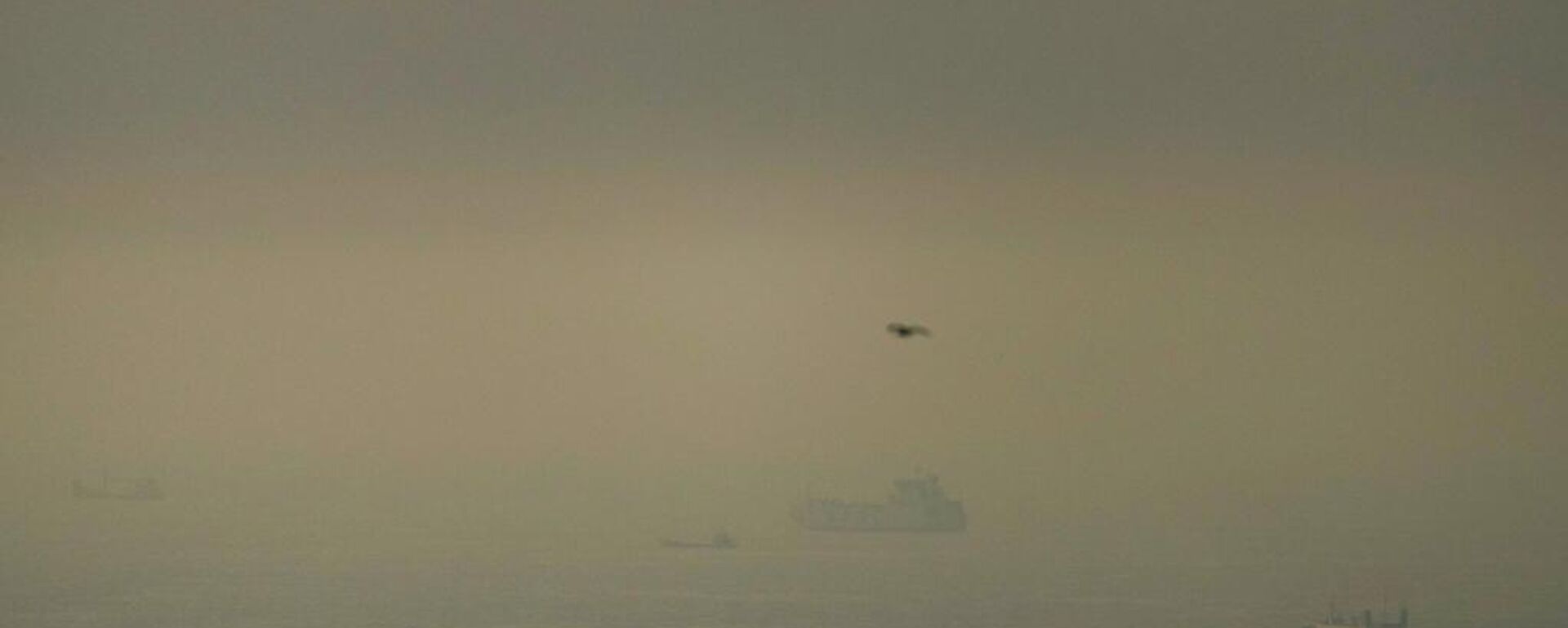 消息人士：伊朗計劃建立新的霍爾木茲海峽通行規制 - 俄羅斯衛星通訊社, 1920, 24.03.2026