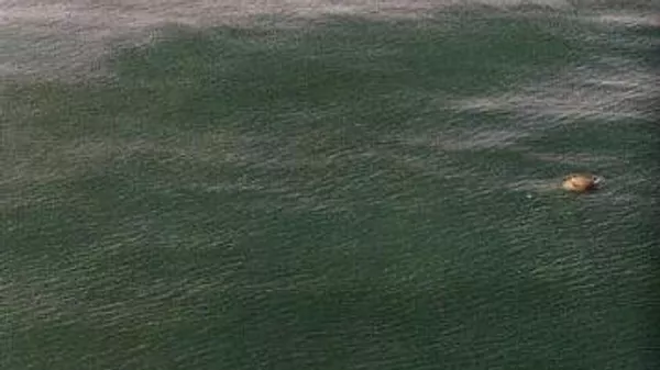 水雷 - 俄罗斯卫星通讯社