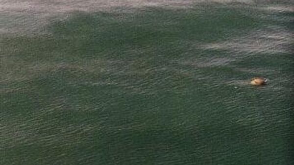 水雷 - 俄羅斯衛星通訊社