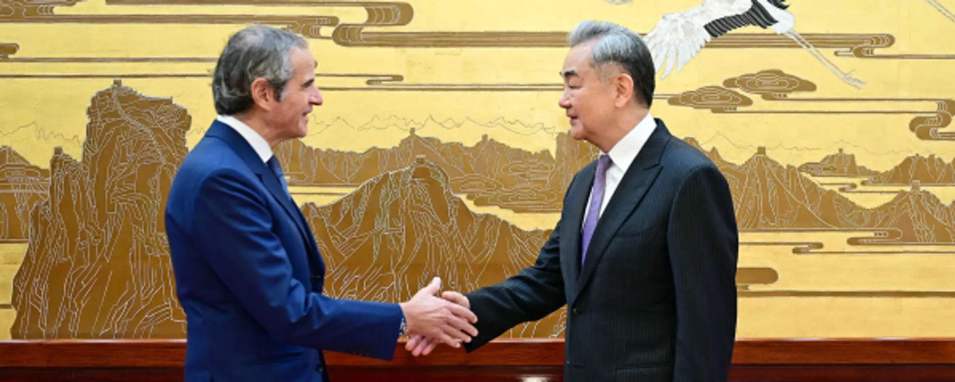 王毅会见国际原子能机构总干事格罗西 - 世界报道, 1920, 26.03.2026