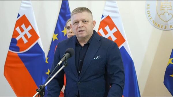 菲佐尖銳批評歐盟委員會主席：連“友誼”輸油管道檢查組都派不出 - 俄羅斯衛星通訊社