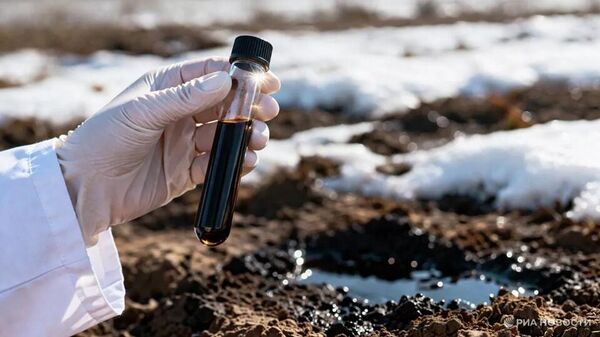 西伯利亚科学家研发评估土壤状态的新方法 - 俄罗斯卫星通讯社