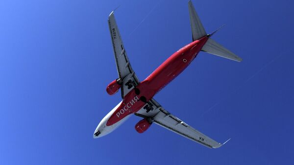 普京：布拉戈维申斯克机场启用将为阿穆尔州发展注入新动力 - 俄罗斯卫星通讯社