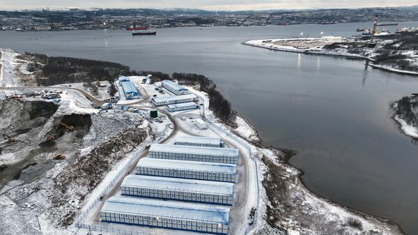 摩尔曼斯克州“拉夫纳”海港的建设 - 俄罗斯卫星通讯社
