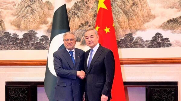 中国和巴基斯坦提出关于恢复中东和平的五点倡议 - 俄罗斯卫星通讯社