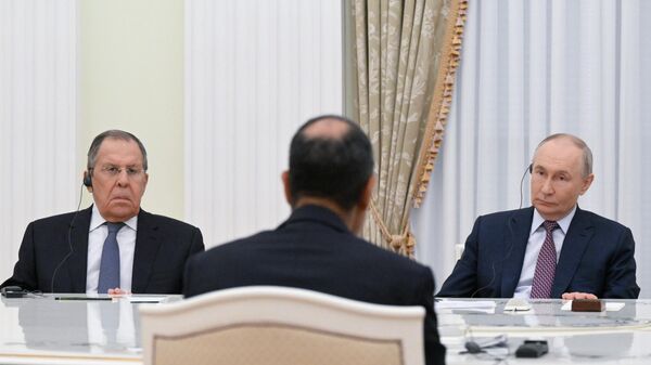 埃及外长向普京转交埃总统的书面信函 - 俄罗斯卫星通讯社