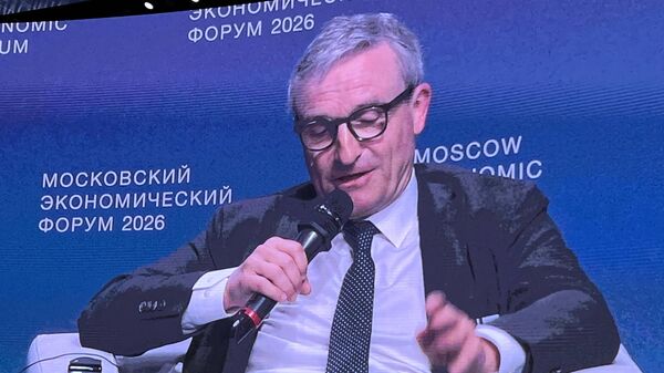 德国欧洲议会议员托马斯·盖泽尔  - 俄罗斯卫星通讯社